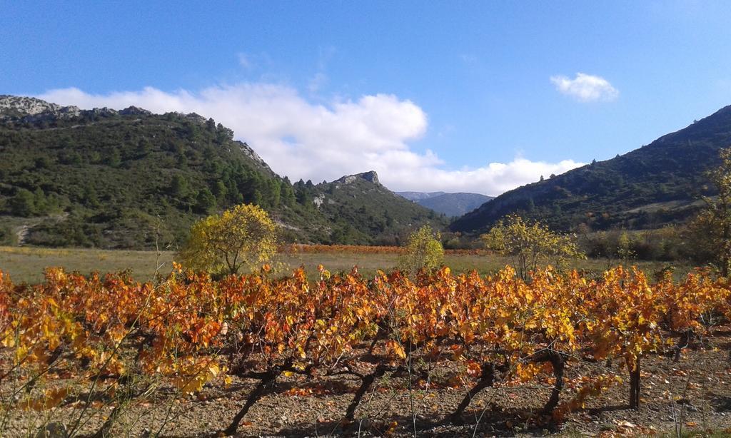 Au Paradis Cathare Bed & Breakfast Fraisse-des-Corbieres Exterior photo